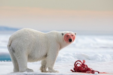 Những bức ảnh du lịch đẹp nhất thế giới năm 2014