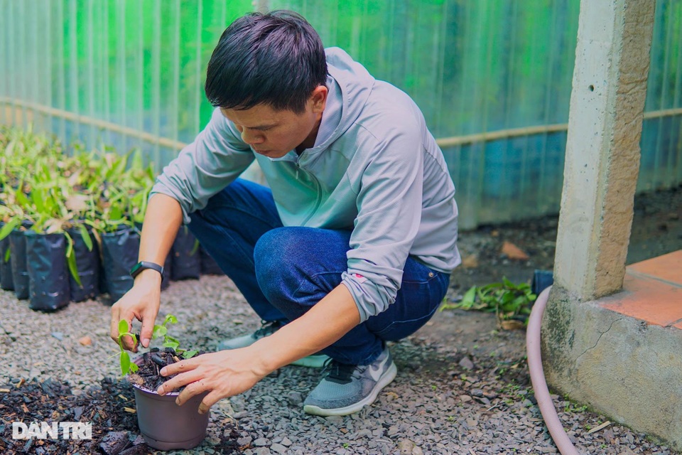 Người nông dân Bình Dương thuần hóa cây lạ cho loại quả 20 triệu đồng/kg - 2 Người nông dân Bình Dương thuần hóa cây lạ cho loại quả 20 triệu đồng/kg - 2