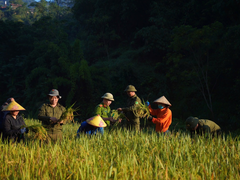 Công an Phú Thọ gùi lúa giúp dân chạy bão Matmo - 2 Công an Phú Thọ gùi lúa giúp dân chạy bão Matmo - 2