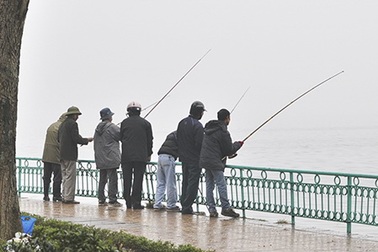 Hàng trăm “cần thủ” trộm cá giữa ban ngày ở Hồ Tây