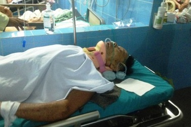 Cụ ông bị bò nhà húc gãy cổ