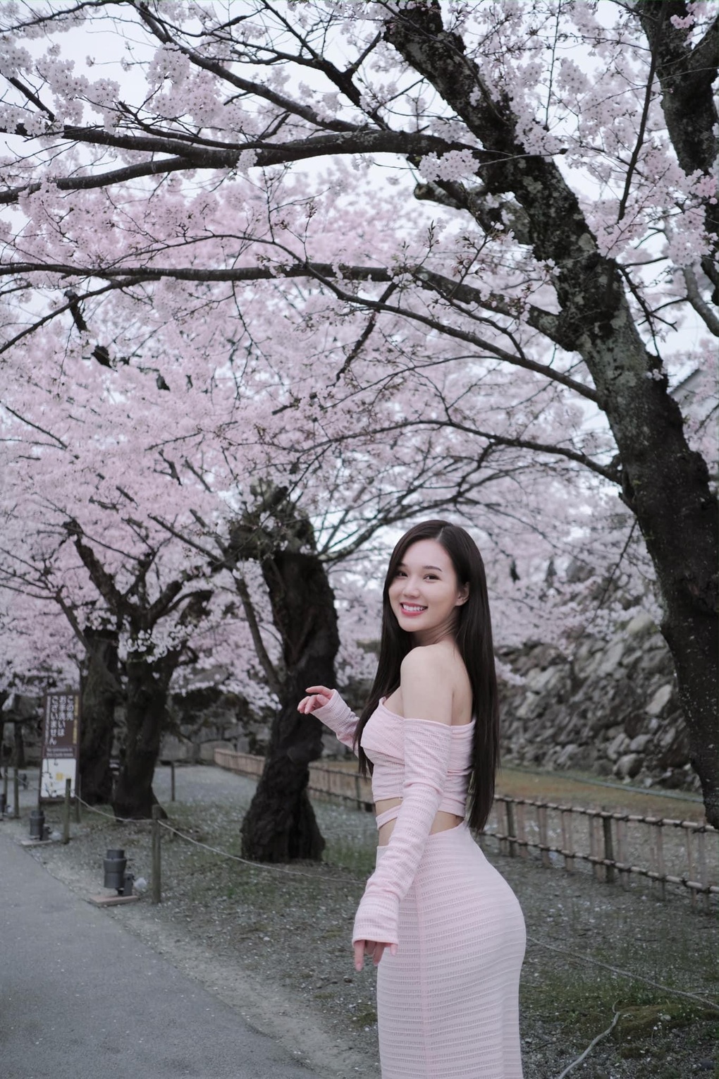 Vẻ đẹp nóng bỏng khác xa trên phim của tiểu tam Phạm Ngọc Anh - 4