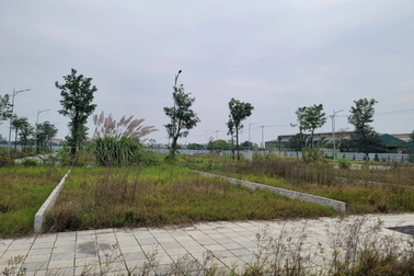 Vụ "nữ tướng" Tập đoàn Vimedimex mua đất giá rẻ: Nhiều lãnh đạo "thoát" tội