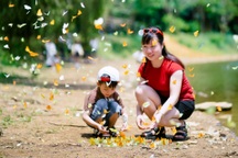 Hơn 400 loài bướm khoe sắc "níu chân" du khách trong rừng Cúc Phương