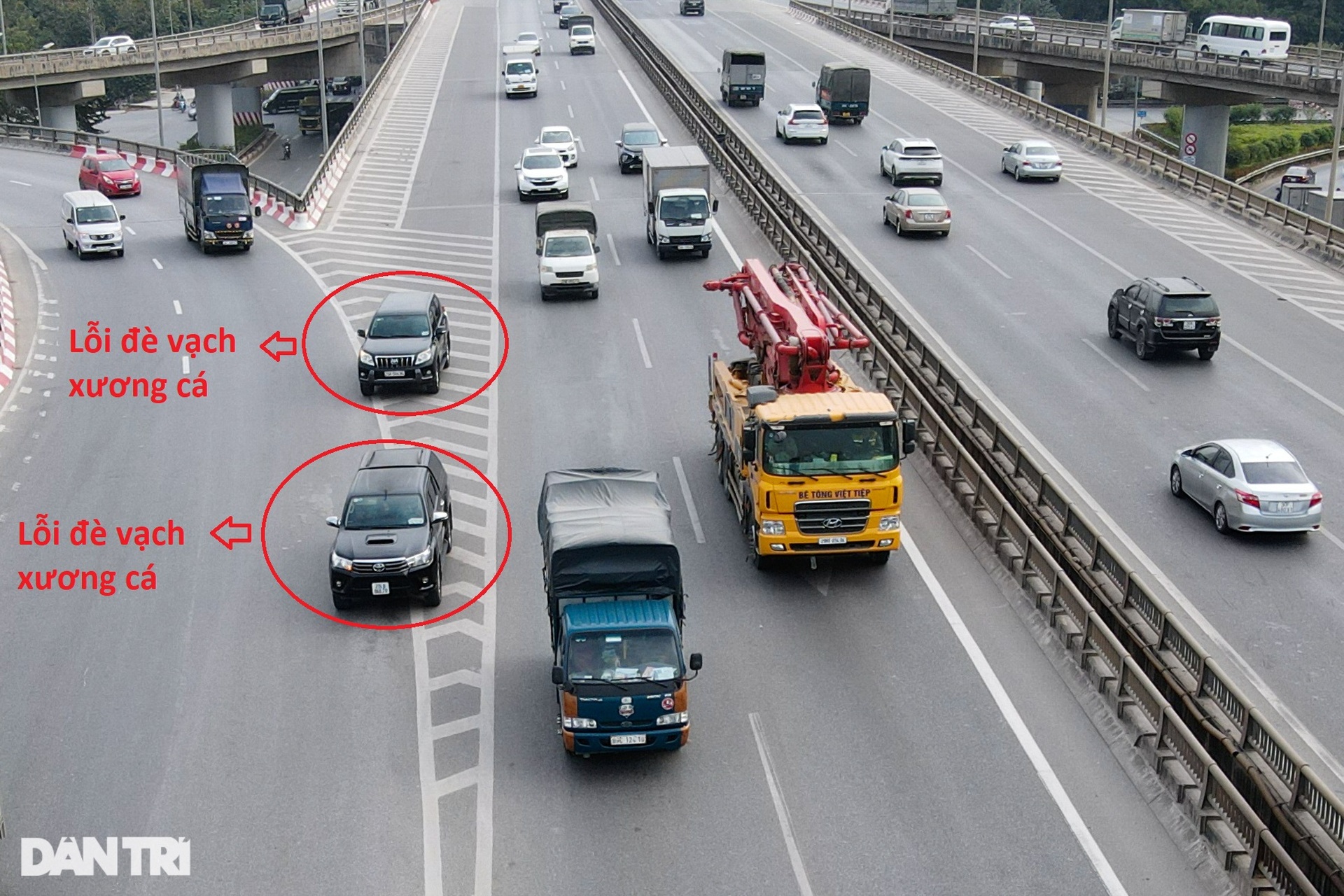 Phát hiện thêm nhiều vạch xương cá ở Hà Nội gây bức xúc người đi đường - 8 Phát hiện thêm nhiều vạch xương cá ở Hà Nội gây bức xúc người đi đường - 8