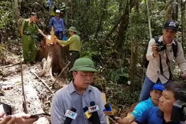Ông Lê Trí Thanh – Phó Chủ tịch tỉnh Quảng Nam - trao đổi với báo chí tại hiện trường vụ chặt hạ rừng pơmu.
