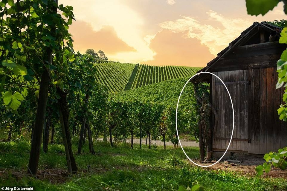 Bạn có nhìn thấy người mẫu khỏa thân trong ảnh này? - 13 Bạn có nhìn thấy người mẫu khỏa thân trong ảnh này? - 13