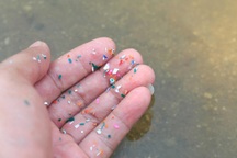 Tiếp xúc vi nhựa có thể gây suy giảm thần kinh?