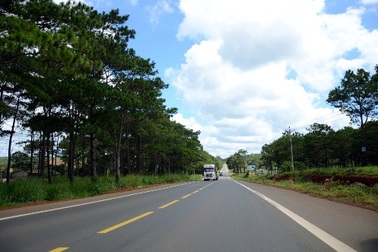 Trồng 24.000 cây thông dọc Quốc lộ 14