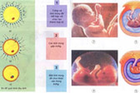 Phải mạnh dạn cắt bỏ những phần phản khoa học