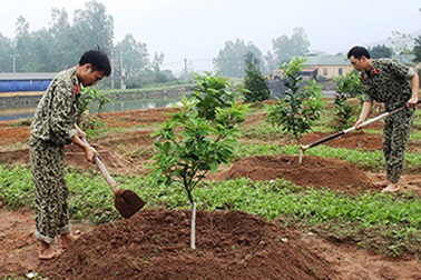 Lính đặc công trên “mặt trận tăng gia”