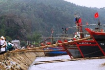 Ngư dân tố tàu thanh tra thủy sản đâm chìm tàu cá