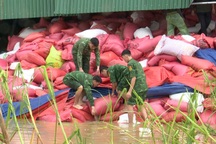 Kho trữ 500 tấn lúa bị tốc mái do bão Kajiki, hộ dân thiệt hại hàng tỷ đồng