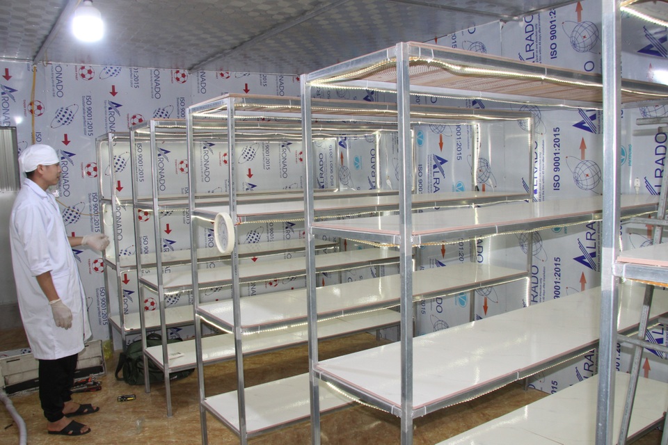 Chàng trai miền núi bỏ nghề điện nuôi thành công đông trùng hạ thảo - 4