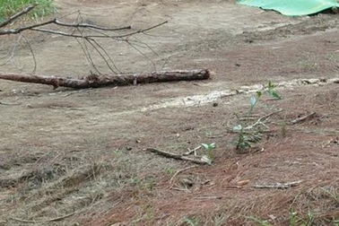 Phát hiện người đàn ông chết bất thường tại bìa rừng