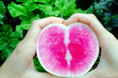 Trắc nghiệm: Quả mít trong tiếng Anh là gì?