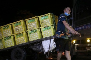 Tấp nập khu chợ đêm mùa quả chín rẻ nhất Hà Nội