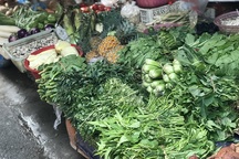 Giá rau xanh đắt đỏ, tiểu thương rón rén nhập hàng