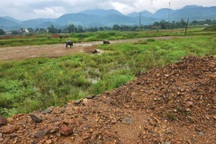 Lo "cò đất" lộng hành, thổi giá, các tỉnh "lập chốt chặn"
