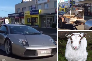 Tậu siêu xe Lamborghini gần 6 tỷ để... kéo dê trên phố