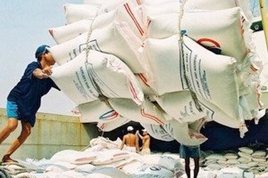 Gạo xuất khẩu có khả năng tăng giá trở lại