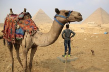 Nga có thể sớm nối lại các chuyến bay thẳng tới Ai Cập