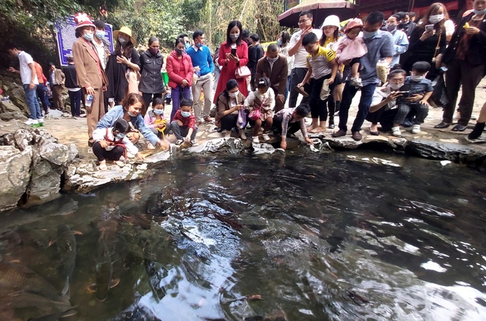 Dịp Tết, doanh thu từ ngành công nghiệp không khói giảm mạnh - 3 Dịp Tết, doanh thu từ ngành công nghiệp không khói giảm mạnh - 3