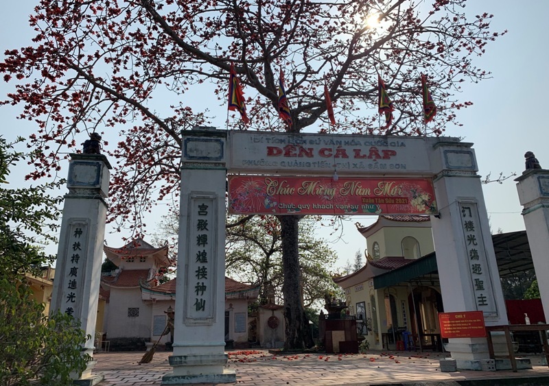 Ngắm cây hoa gạo cổ thụ trước sân đền hàng trăm năm tuổi - 2 Ngắm cây hoa gạo cổ thụ trước sân đền hàng trăm năm tuổi - 2