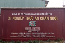 Công ty phân bón và hoá chất Cần Thơ bị xử phạt gần nửa tỷ đồng