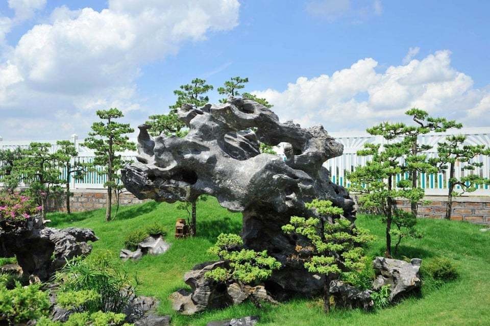 Khu vườn rộng 2000 m2 đẹp như tranh, sở hữu nhiều cây bạc tỷ ở Hà Nội - 4 Khu vườn rộng 2000 m2 đẹp như tranh, sở hữu nhiều cây bạc tỷ ở Hà Nội - 4