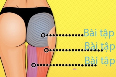 Hướng dẫn lịch tập chi tiết cho vòng 3 hoàn hảo