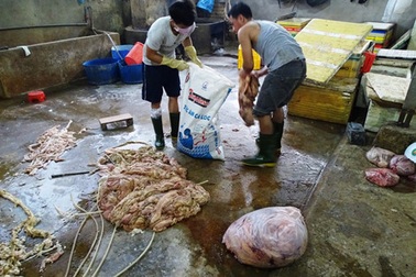Mỗi ngày bán 200 ký nội tạng bò ngâm hóa chất ra thị trường