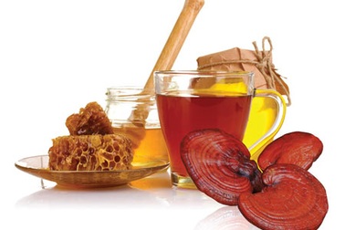 Những lưu ý khi dùng nấm linh chi