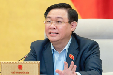 Chủ tịch Quốc hội: Quy định minh bạch để xử lý tình trạng sở hữu chéo