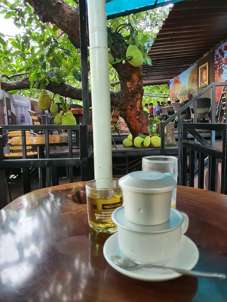 Dân mạng thích thú với quán cà phê cây mít, quả sai trĩu từ gốc đến ngọn - 8 Dân mạng thích thú với quán cà phê cây mít, quả sai trĩu từ gốc đến ngọn - 8