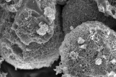 Thiết bị điện tử công nghệ cao làm từ… lá cây