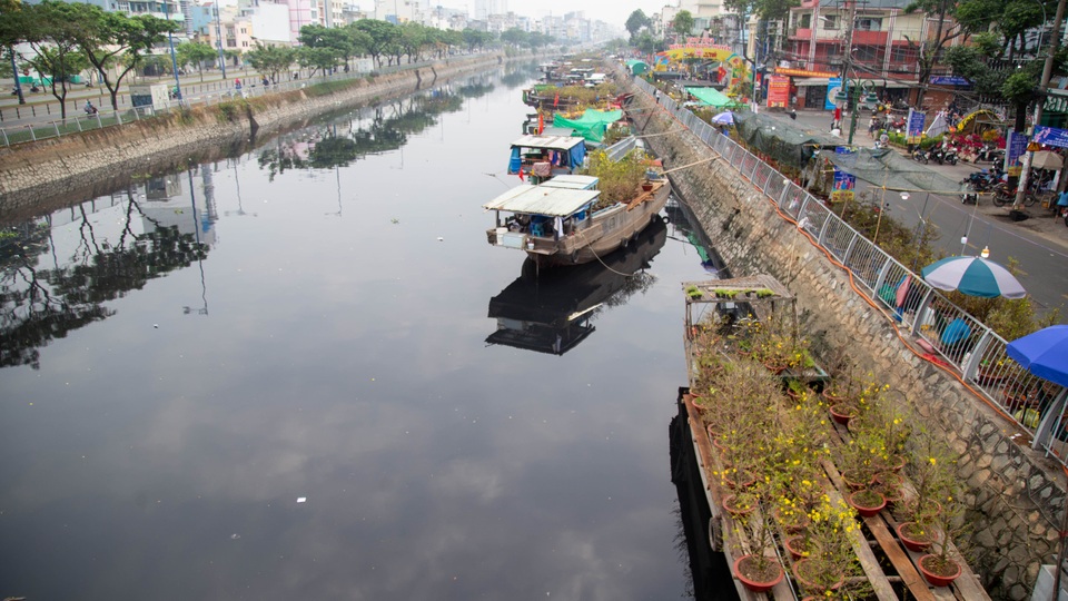 Nhiều ngày phơi mặt không bán nổi hoa, tiểu thương khóc thét lo mất Tết - 12 Nhiều ngày phơi mặt không bán nổi hoa, tiểu thương khóc thét lo mất Tết - 12