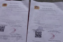 Nhân viên giao hàng dùng giấy đi đường giả để qua chốt kiểm soát