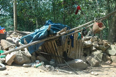 Người đàn bà và những đứa con đào hầm sống trên núi