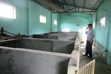 Thanh Hóa: Nhiều cơ sở giết mổ tiền tỉ bỏ hoang