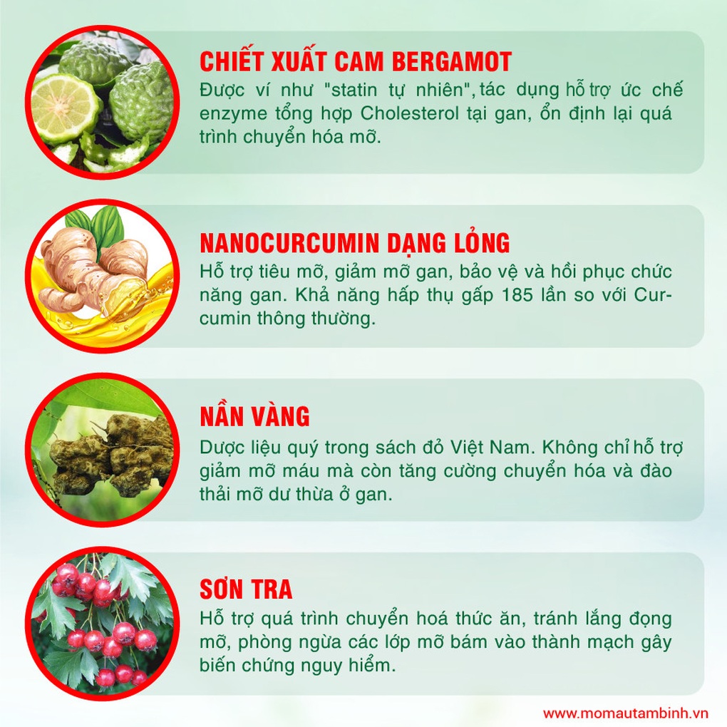 Không ăn thịt mỡ vẫn bị mỡ máu cao: Nguyên nhân do đâu? - 3 Không ăn thịt mỡ vẫn bị mỡ máu cao: Nguyên nhân do đâu? - 3
