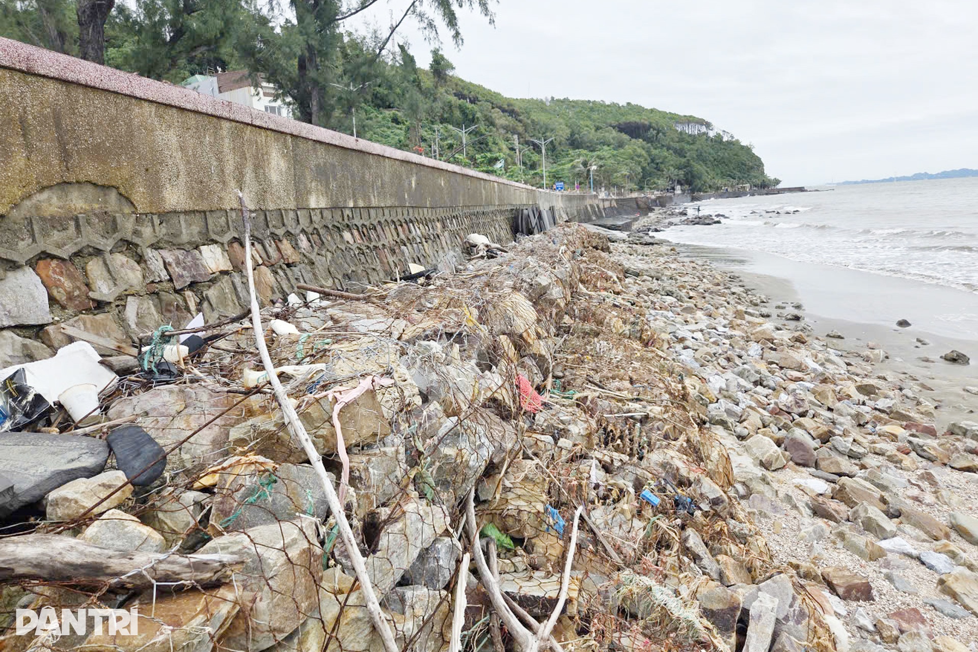 Bờ kè ở Đồ Sơn - Hải Phòng sụt lún sau bão - 4 Bờ kè ở Đồ Sơn - Hải Phòng sụt lún sau bão - 4