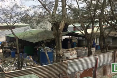 Ám ảnh mùi khí amoniac rò rỉ, dân mất ngủ vì lo sợ