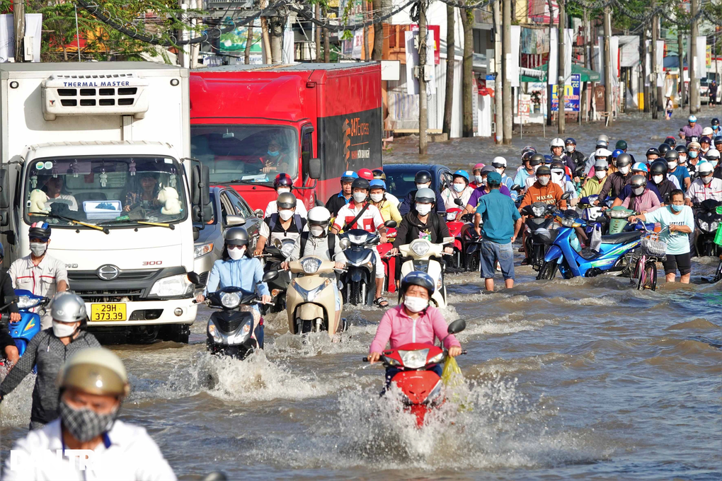 Người dân Tây Đô chèo thuyền, bơi thau khi đỉnh triều cường lên - 1 Người dân Tây Đô chèo thuyền, bơi thau khi đỉnh triều cường lên - 1