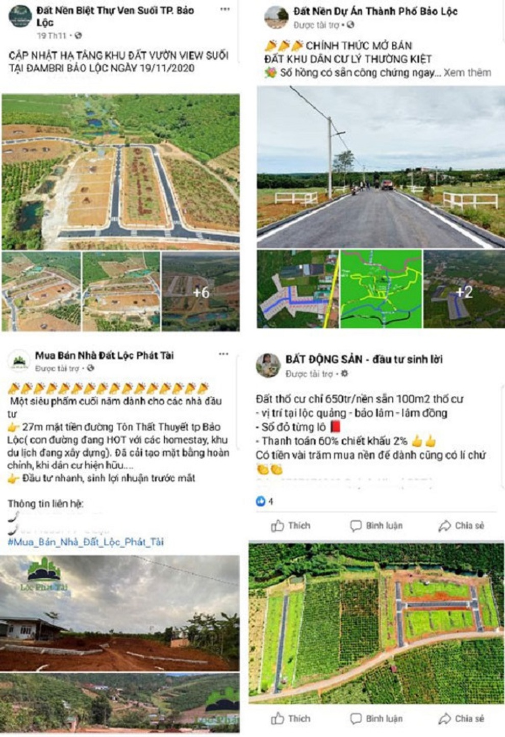 Nở rộ dự án ma, Lâm Đồng tạm dừng phân lô tách thửa - 2 Nở rộ dự án ma, Lâm Đồng tạm dừng phân lô tách thửa - 2