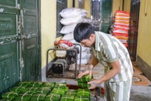 Phạm nhân khéo léo gói hàng nghìn bánh chưng đón Tết ở Trại giam Yên Hạ