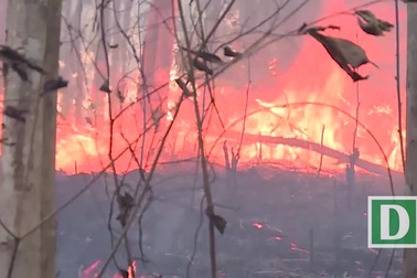 Đang cháy rừng lớn ở Phú Yên