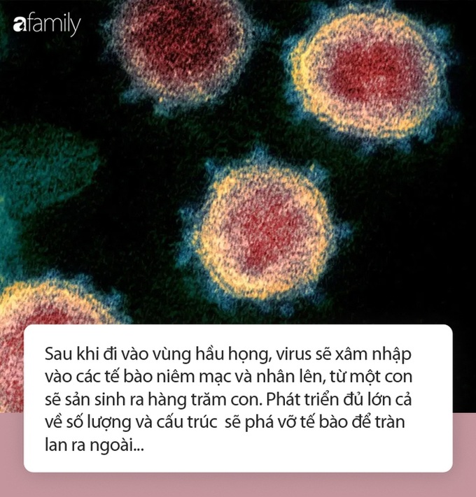 Tránh lây nhiễm Covid-19: Chuyên gia chỉ ra 7 điều cần biết để tuyệt đối không mắc bệnh trong thời gian vàng cách ly toàn xã hội - Ảnh 1.