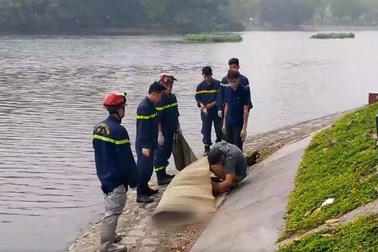 Hai nam sinh viên chết trong Công viên Thống Nhất