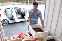 Bắt 2 xe ô tô chở 100kg giun đất đi tiêu thụ